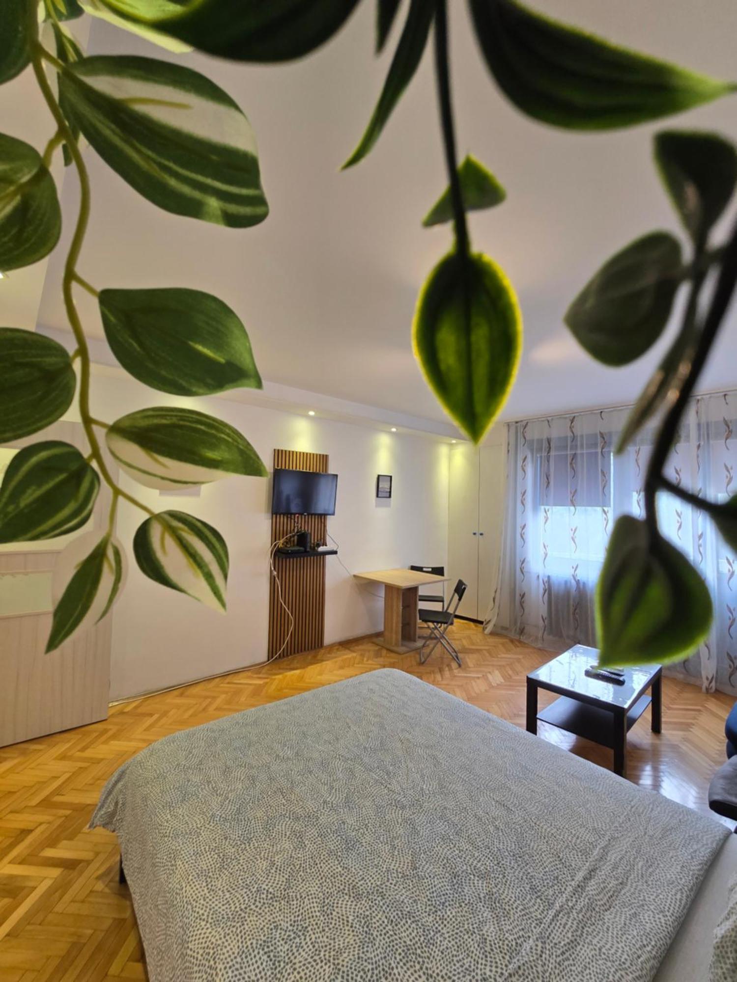 Azzurro Studio Apartment Белград Экстерьер фото