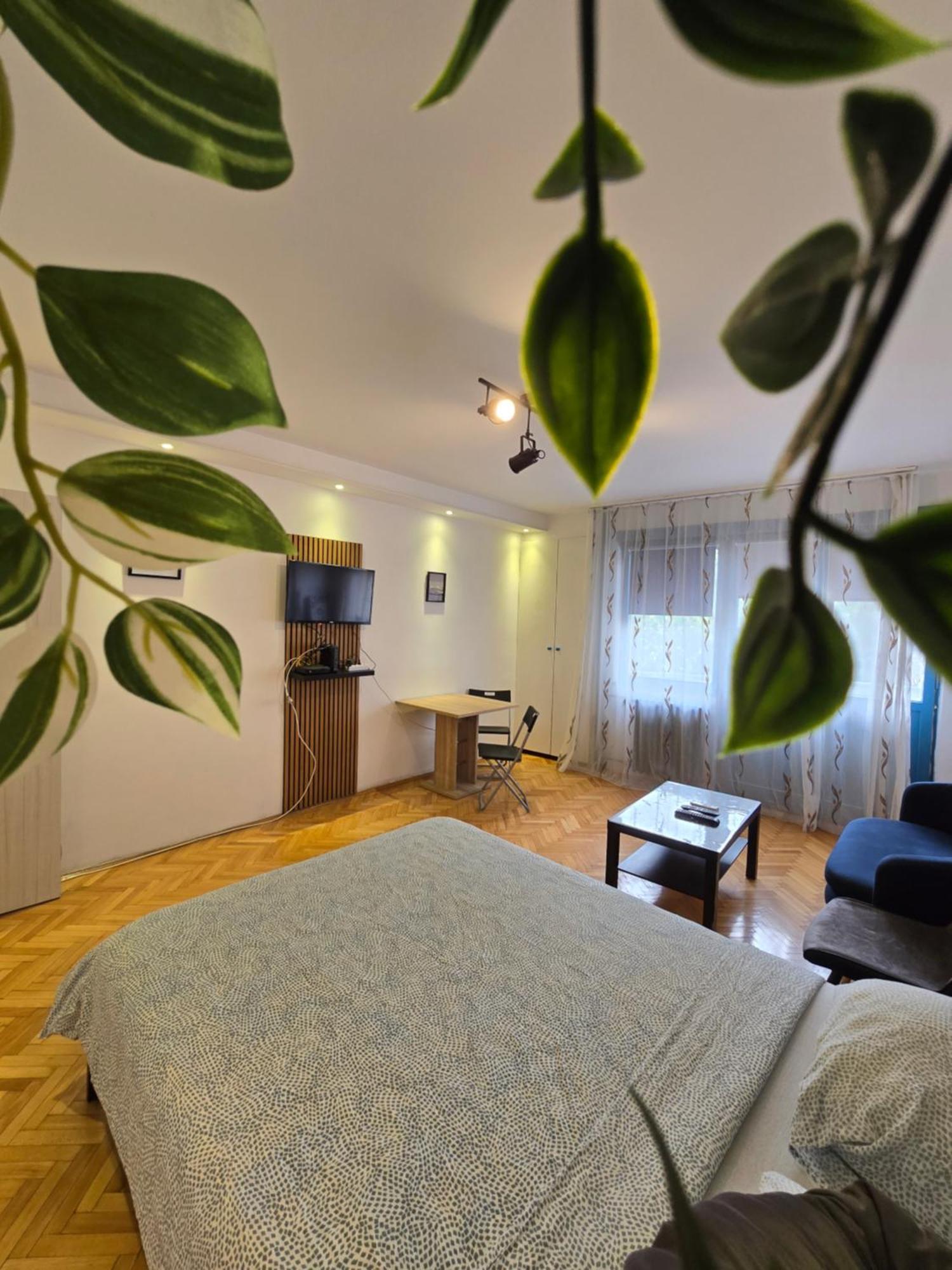 Azzurro Studio Apartment Белград Экстерьер фото